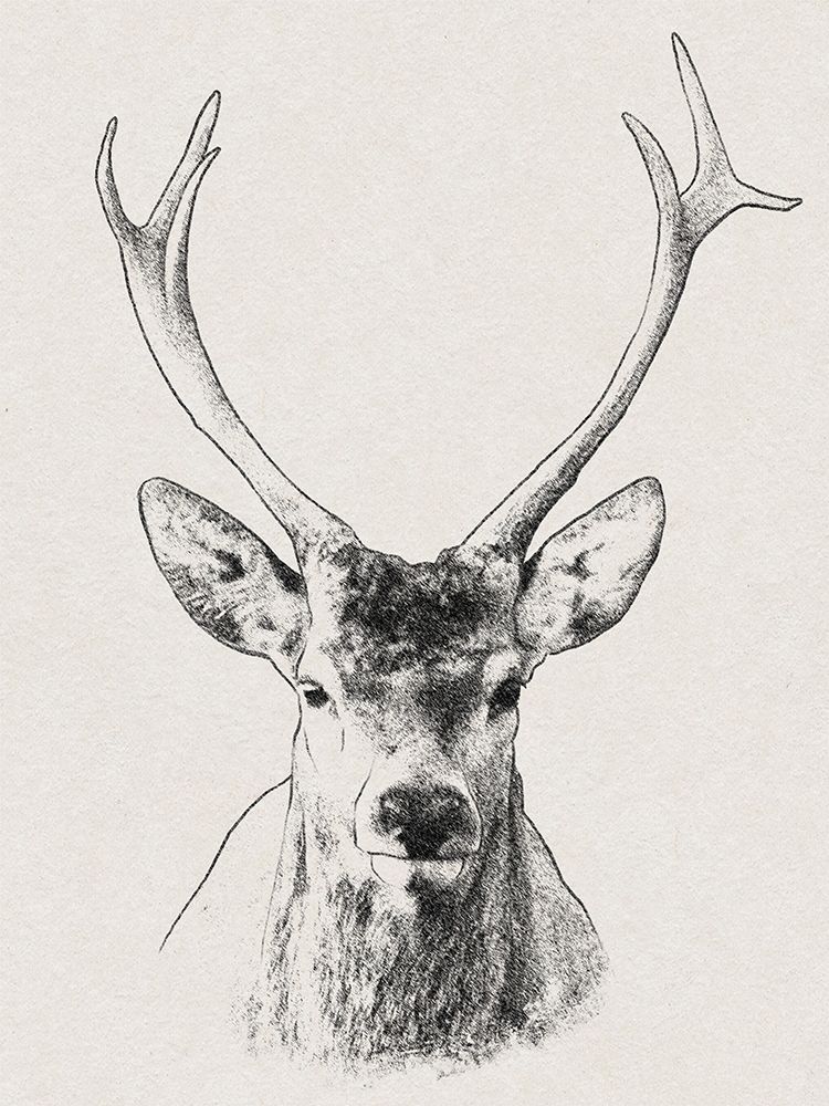 Wilderness Stare 2 art print by Marcus Prime for $57.95 CAD