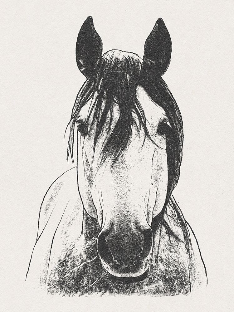 Daring Stallion art print by Marcus Prime for $57.95 CAD
