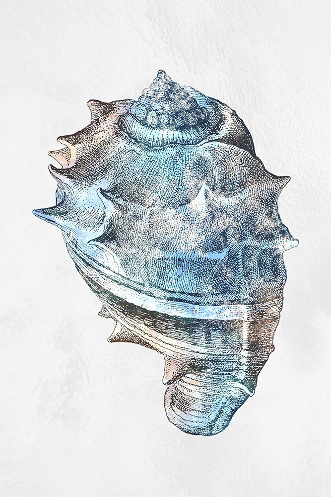Urban Sea Shell 2 art print by Marcus Prime for $57.95 CAD