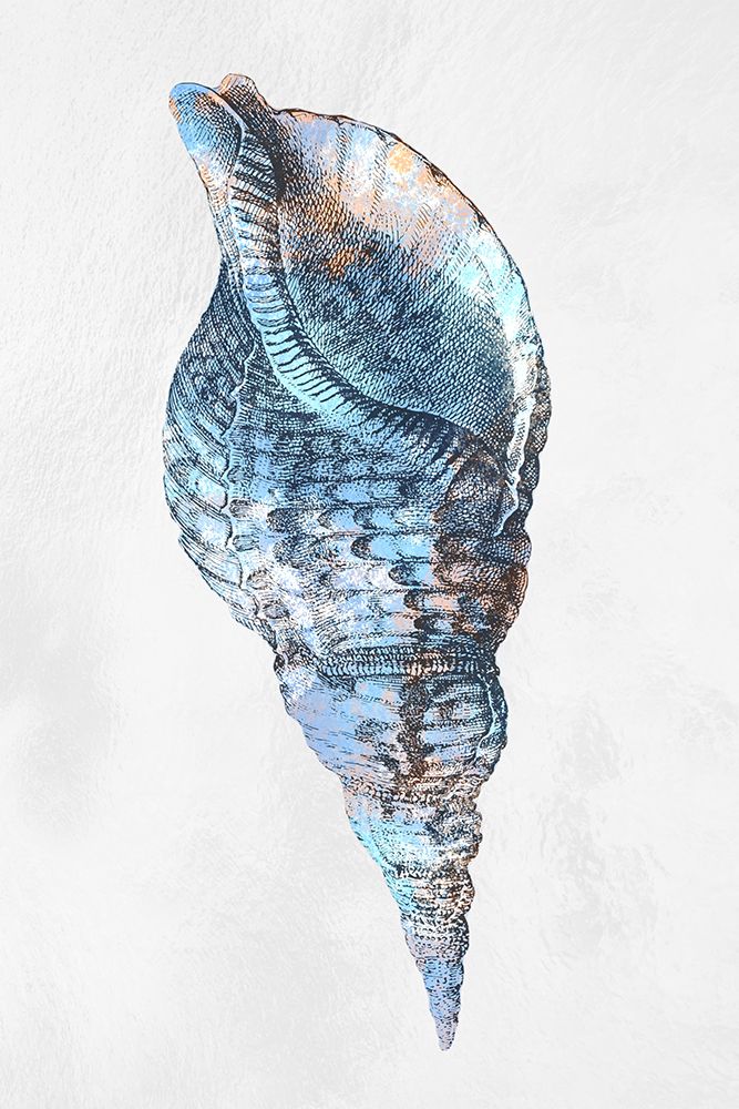Urban Sea Shell 3 art print by Marcus Prime for $57.95 CAD
