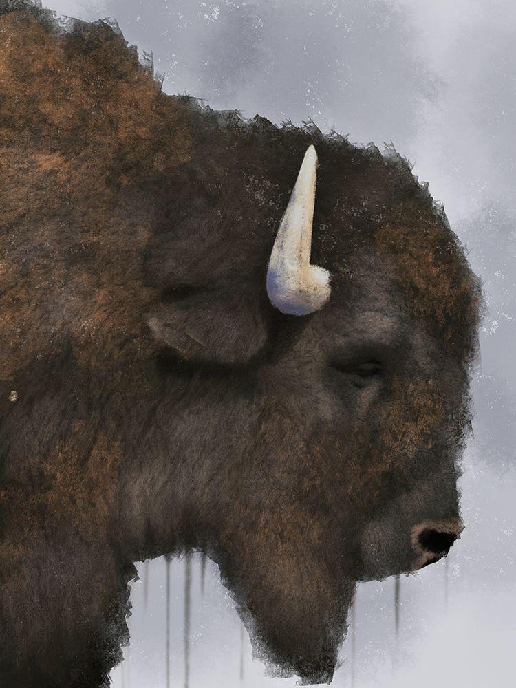 Dripping Bison art print by Marcus Prime for $57.95 CAD