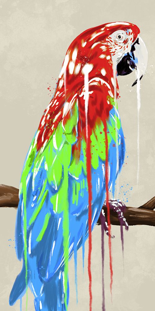 Parrot Hot Drip 1 art print by Marcus Prime for $57.95 CAD