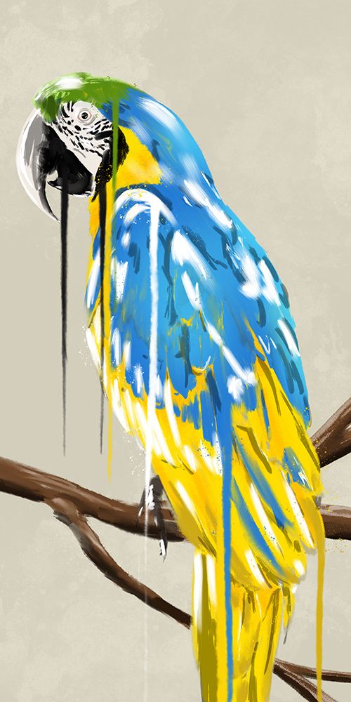 Parrot Hot Drip 2 art print by Marcus Prime for $57.95 CAD