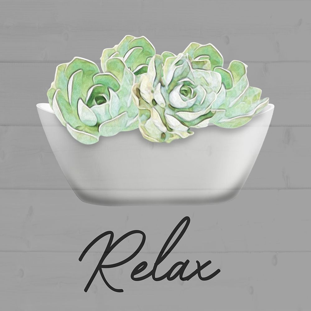 Relaxed Succulent art print by Marcus Prime for $57.95 CAD