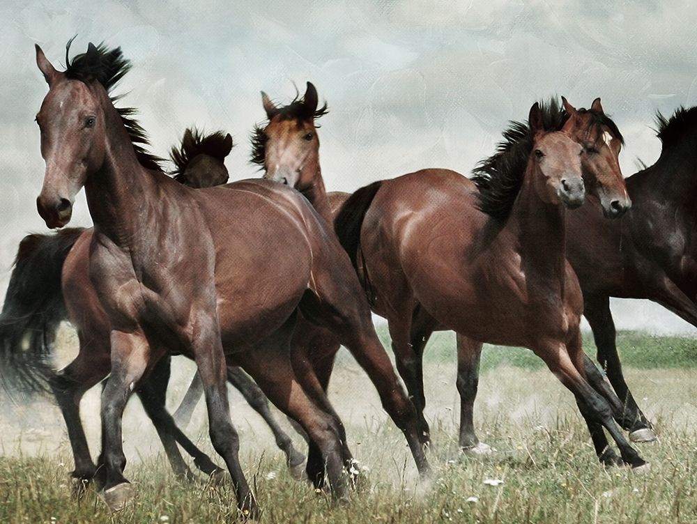 Running Horses 3 art print by Milli Villa for $57.95 CAD