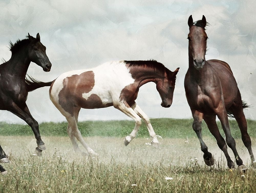 Running Horses 4 art print by Milli Villa for $57.95 CAD
