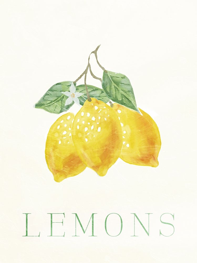 Clean Lemons art print by Milli Villa for $57.95 CAD