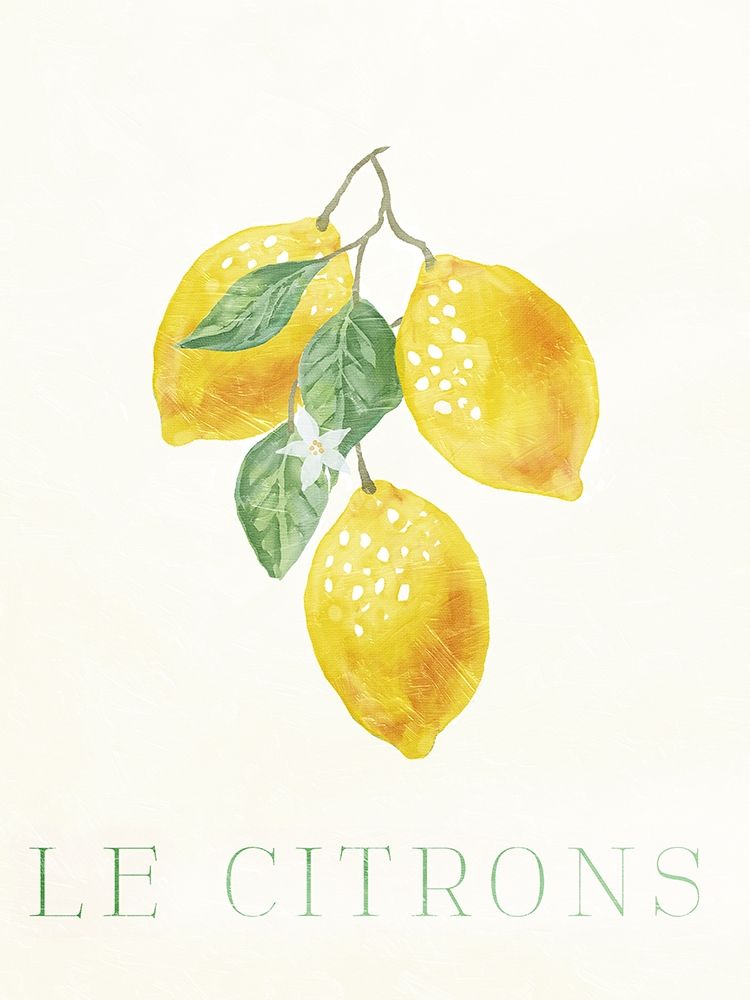 Clean Le Citrons art print by Milli Villa for $57.95 CAD