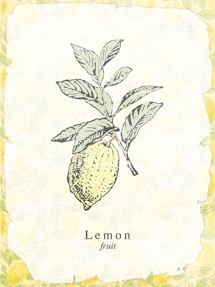 Lemon Fruit art print by Milli Villa for $57.95 CAD