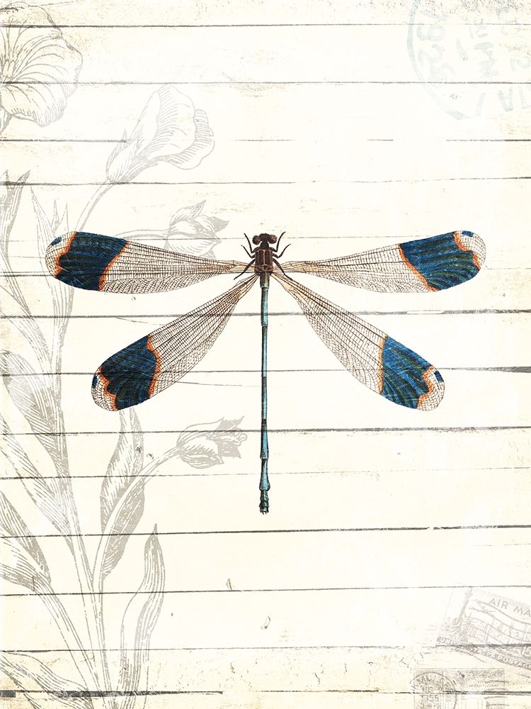 Dragonfly Look art print by Milli Villa for $57.95 CAD
