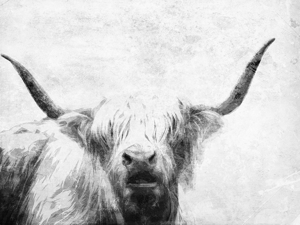 The Bull Look BW art print by Milli Villa for $57.95 CAD