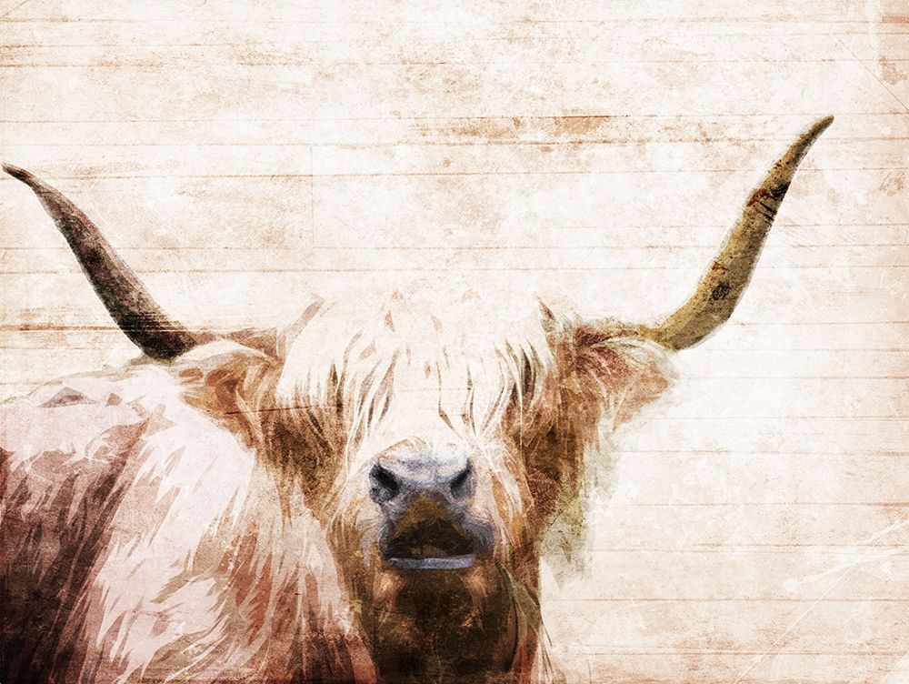 The Bull Look art print by Milli Villa for $57.95 CAD