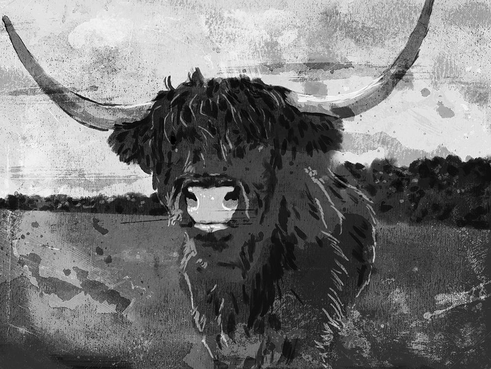 Hi Bull BW art print by Milli Villa for $57.95 CAD