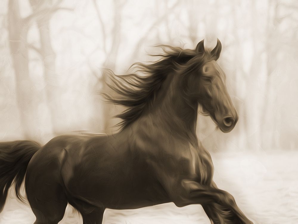 Horse In The Wind art print by Milli Villa for $57.95 CAD