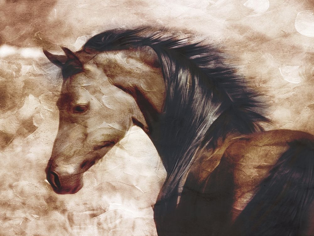 Look At The Horse art print by Milli Villa for $57.95 CAD