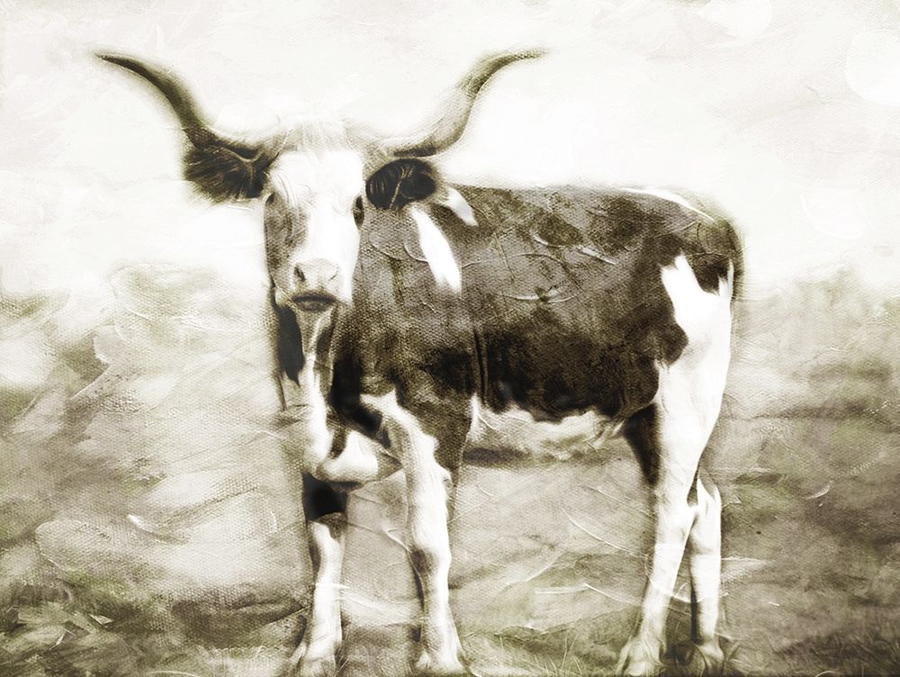 Look At The Cow art print by Milli Villa for $57.95 CAD