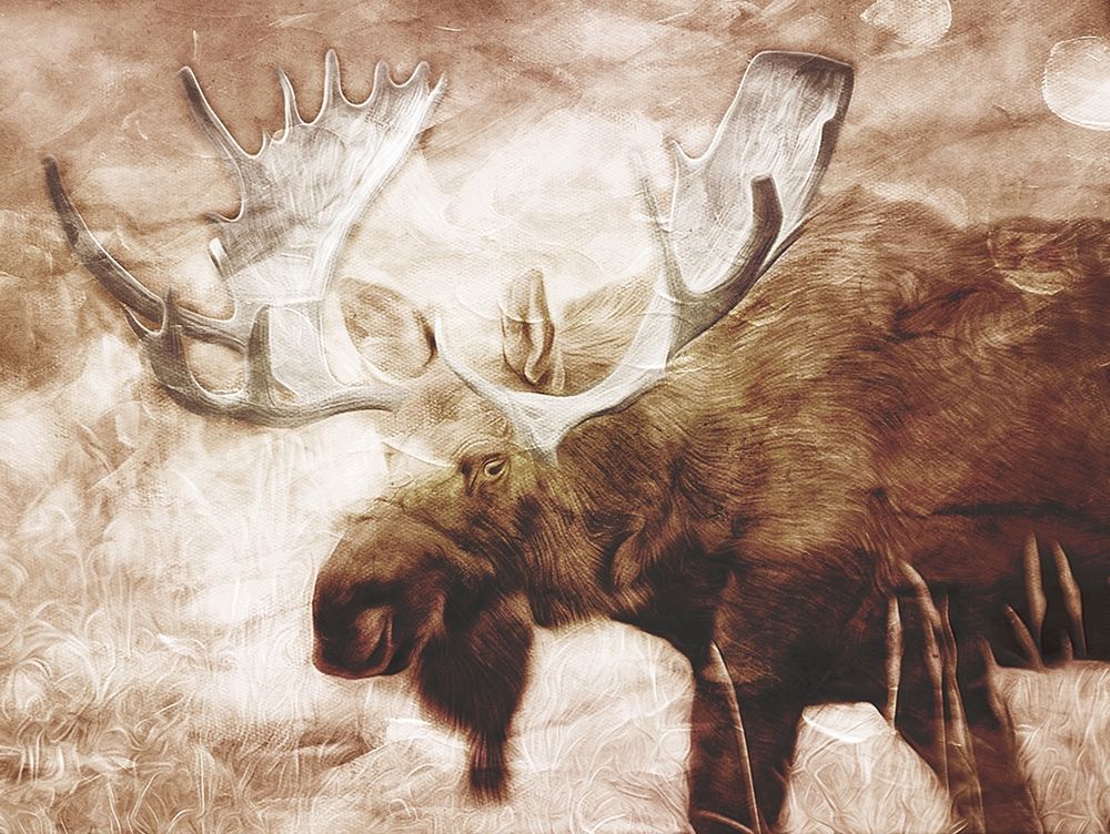 Look At The Moose art print by Milli Villa for $57.95 CAD