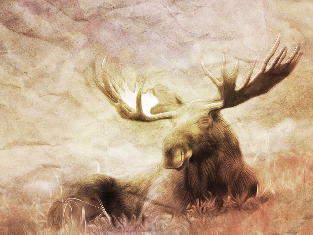 Moose Relaxing art print by Milli Villa for $57.95 CAD