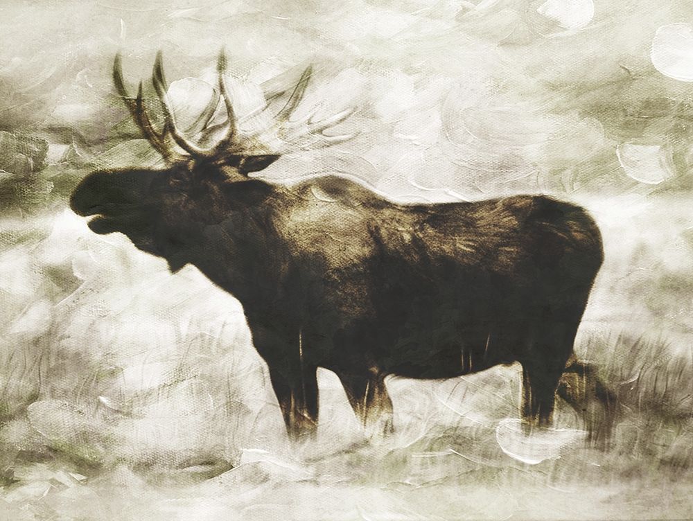 Singing Moose art print by Milli Villa for $57.95 CAD