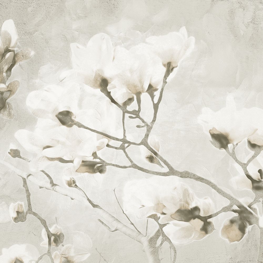 Cream Tree of White Flowers 2 art print by Milli Villa for $57.95 CAD