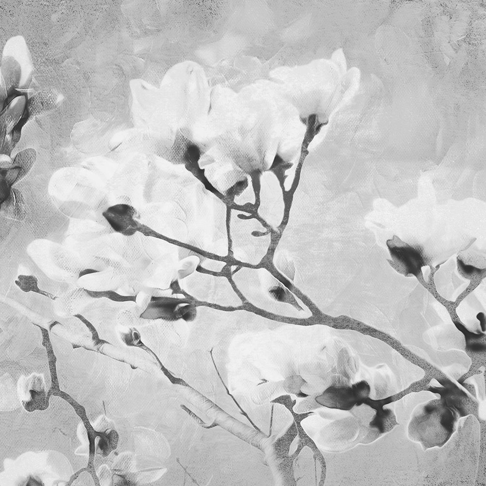 Tree of White Flowers BW 2 art print by Milli Villa for $57.95 CAD