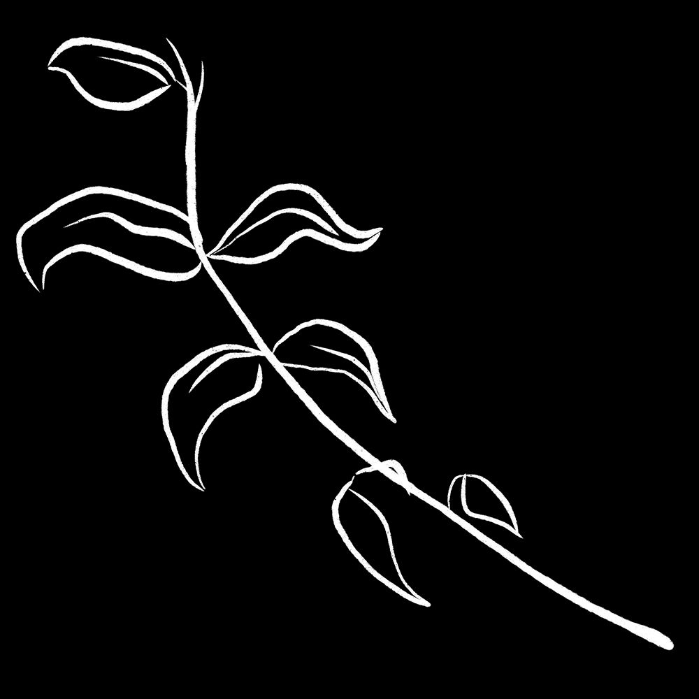Simple Black flower 2 art print by Milli Villa for $57.95 CAD