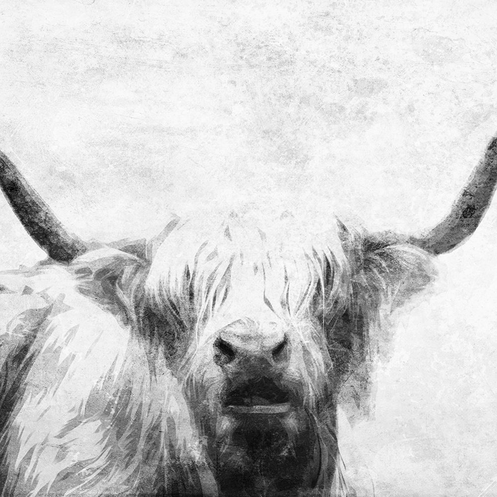 The Bull Look BW art print by Milli Villa for $57.95 CAD