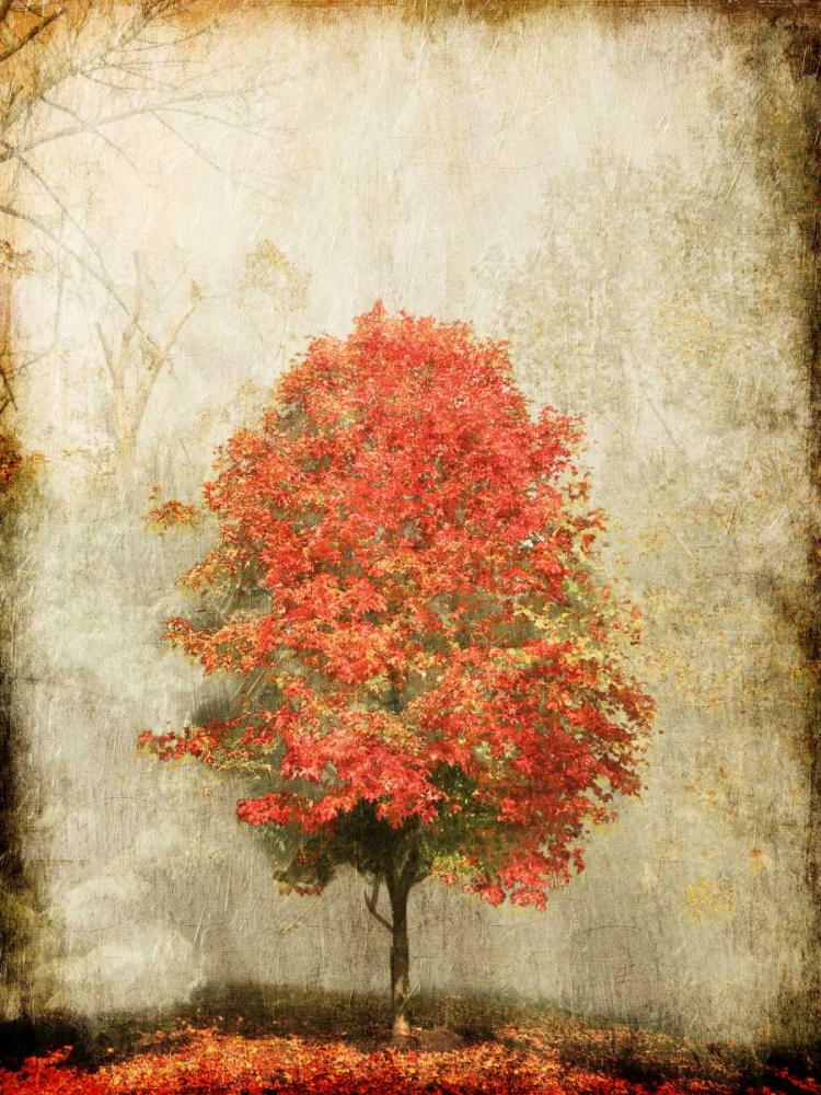 Fire Tree art print by OnRei for $57.95 CAD