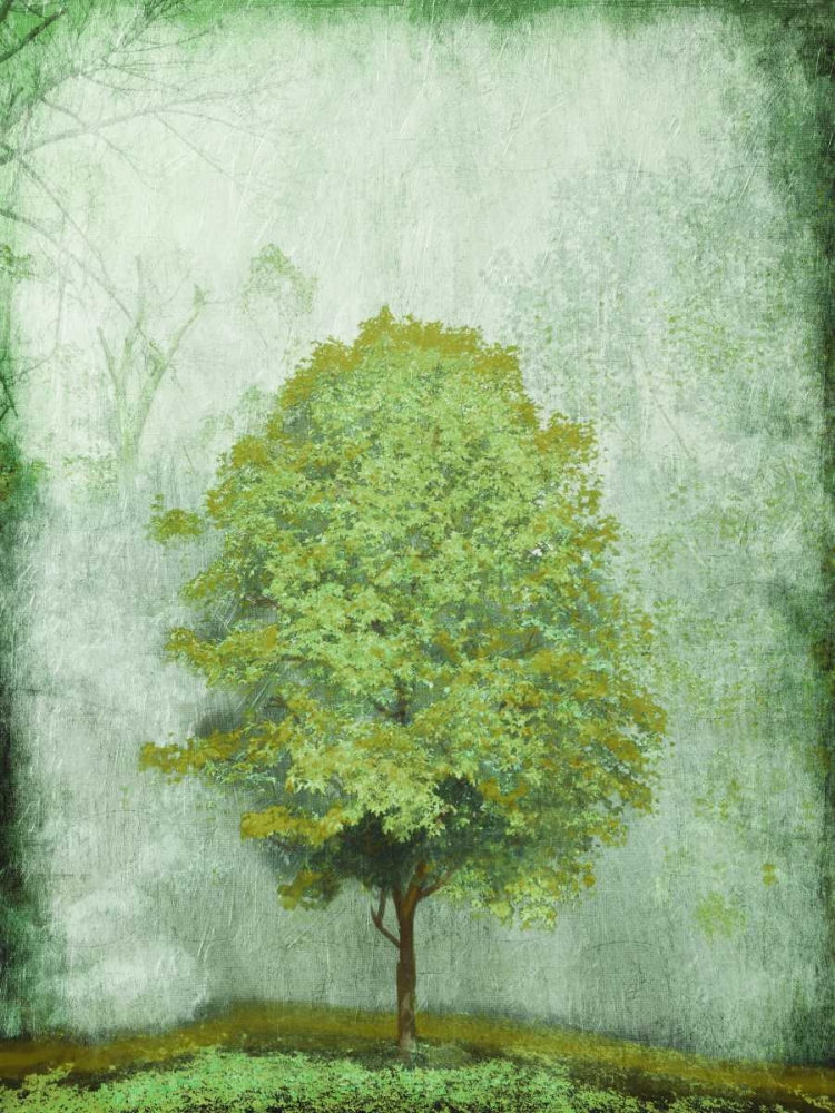 Green Tree art print by OnRei for $57.95 CAD