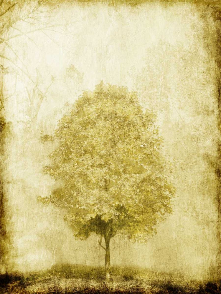 Golden Tree art print by OnRei for $57.95 CAD