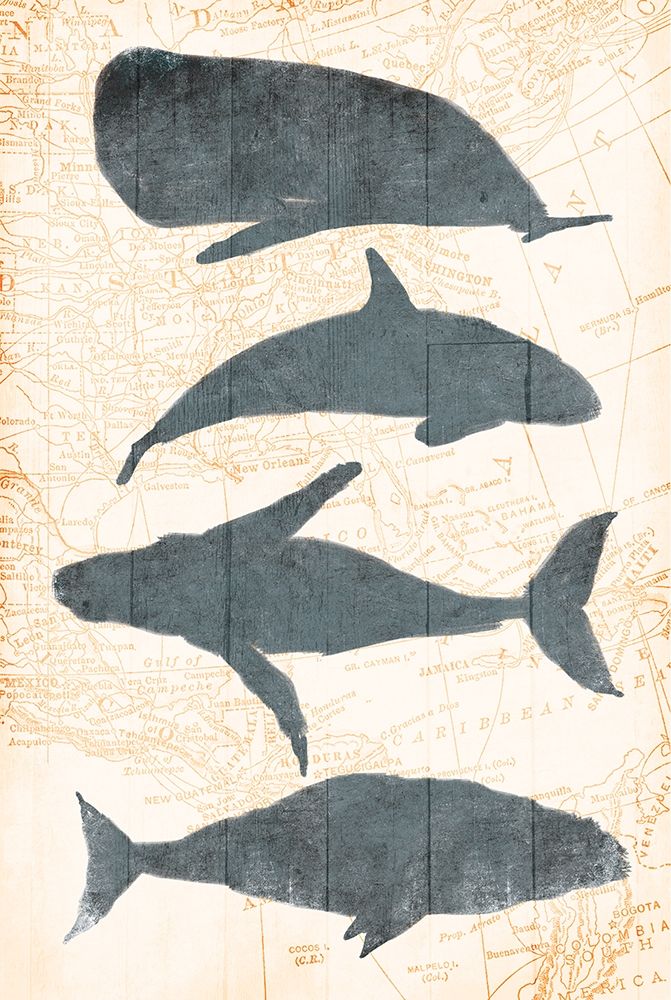 Whale Map art print by OnRei for $57.95 CAD