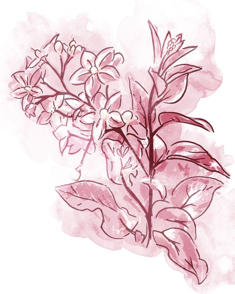 Water Inked Florals Blush art print by OnRei for $57.95 CAD