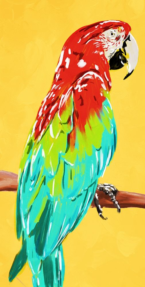 Fun Parrot 1 art print by OnRei for $57.95 CAD
