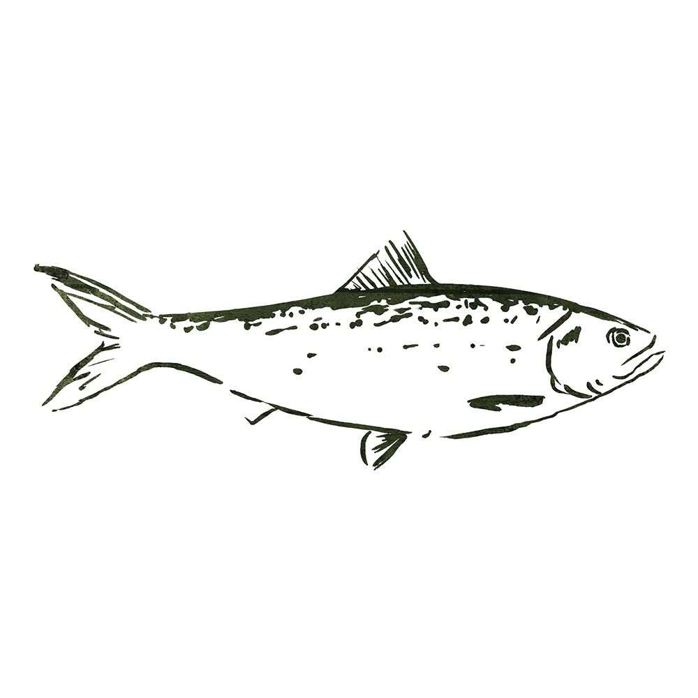 Simple Sketched Fish art print by OnRei for $57.95 CAD