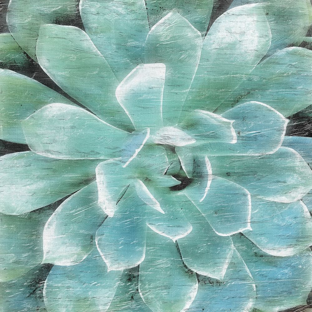 Succulent Memory 1 art print by Debbie Pearson for $57.95 CAD