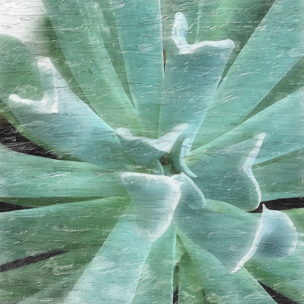 Succulent Memory 2 art print by Debbie Pearson for $57.95 CAD