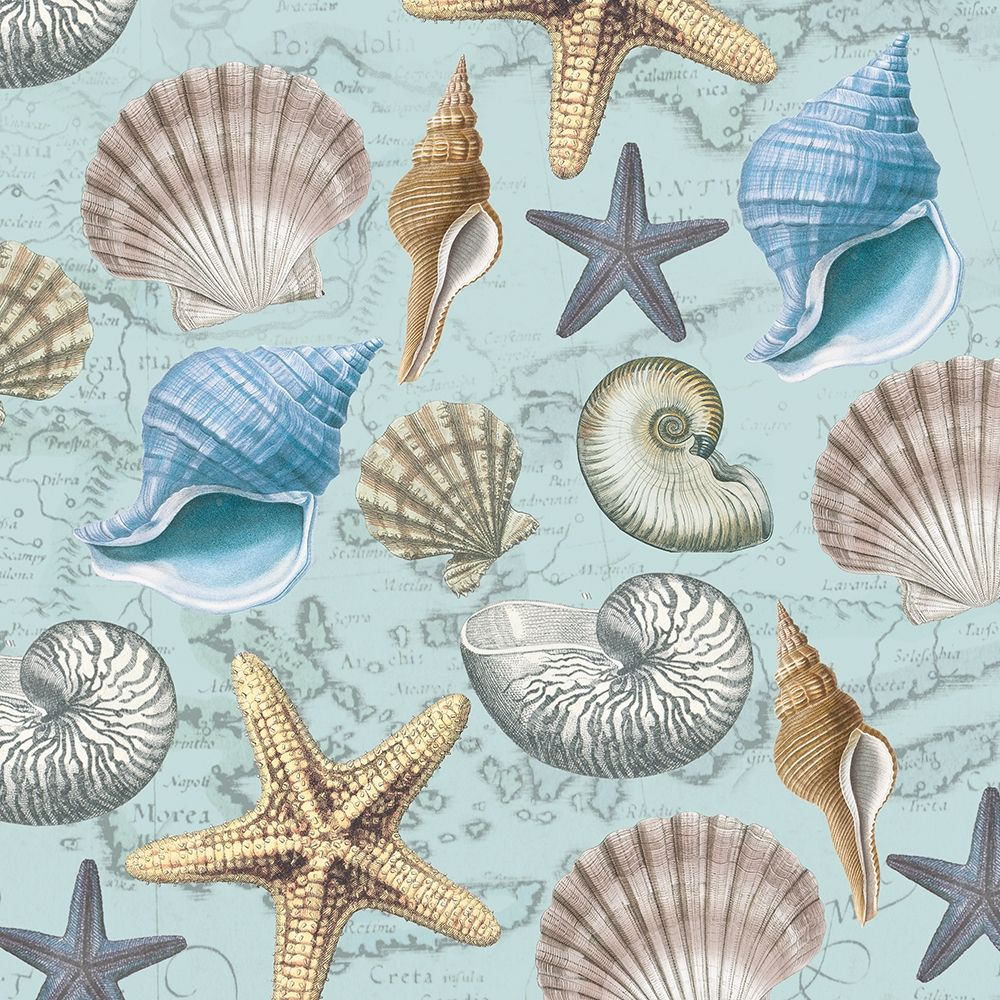 By The Sea Shells 1 art print by Candace Allen for $57.95 CAD