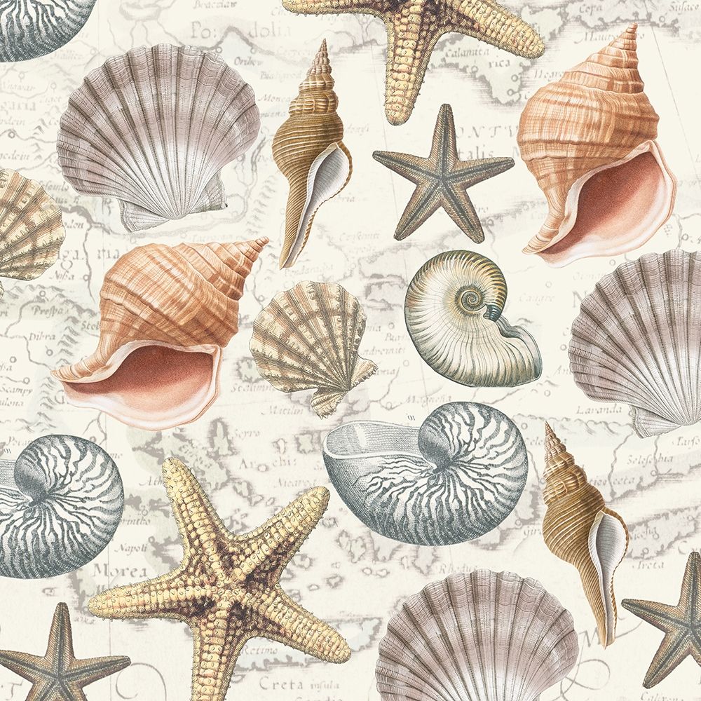 By The Sea Shells 2 art print by Candace Allen for $57.95 CAD