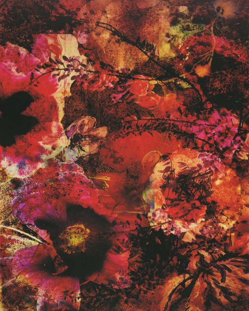 Crimson Florals art print by Smith Haynes for $57.95 CAD