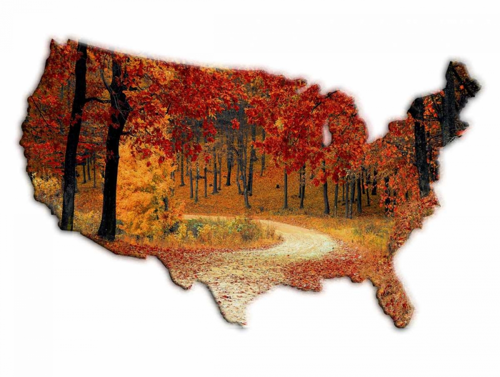 Fall Time USA art print by Sheldon Lewis for $57.95 CAD