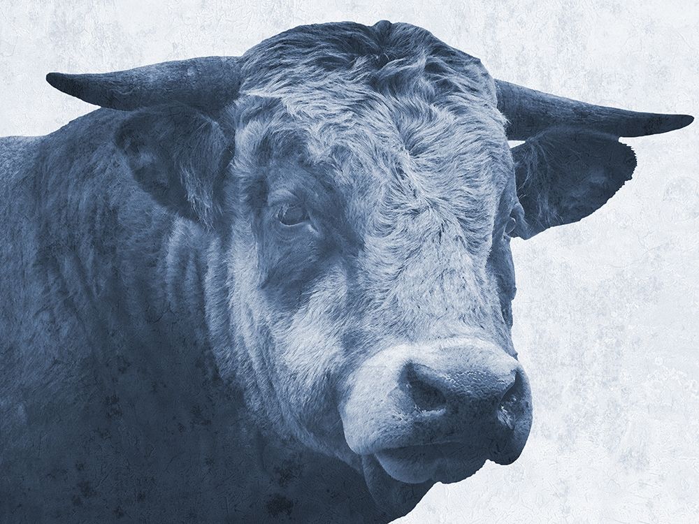 Tone And Tonal Bull art print by Sheldon Lewis for $57.95 CAD