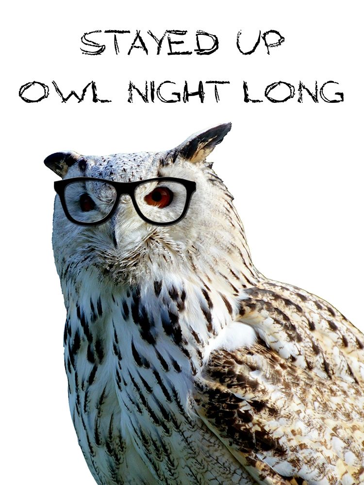 Owl Night art print by Sheldon Lewis for $57.95 CAD