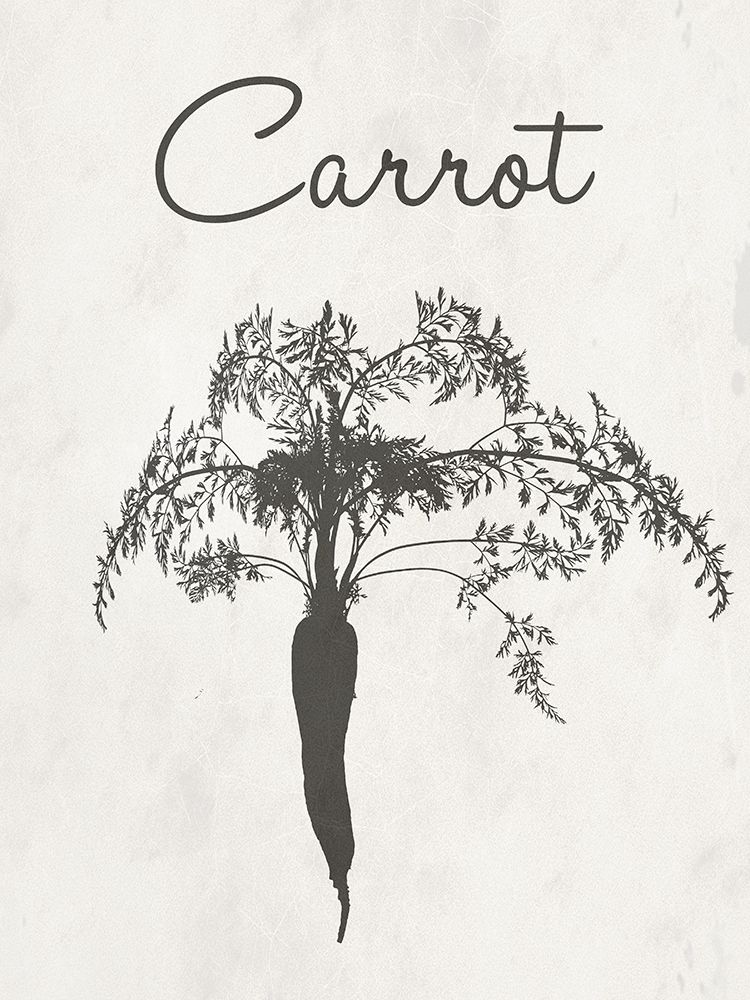 Carrot Farm Botanical art print by Sheldon Lewis for $57.95 CAD