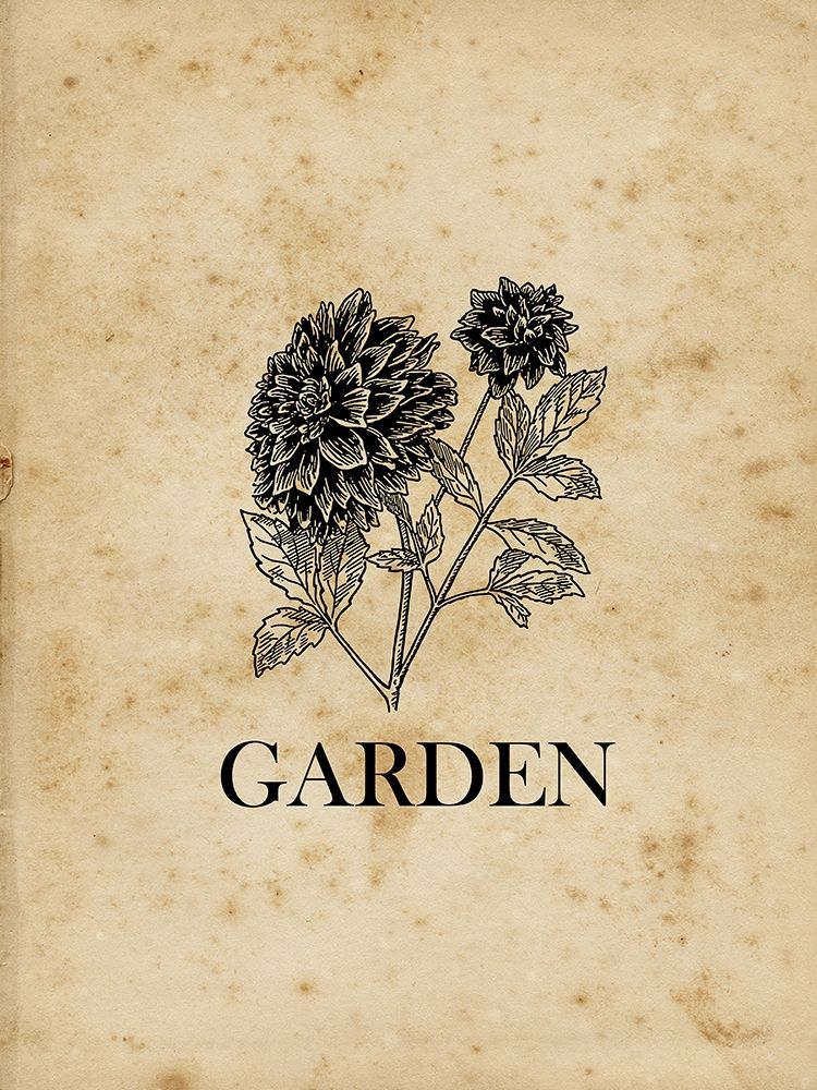 Garden art print by Sheldon Lewis for $57.95 CAD
