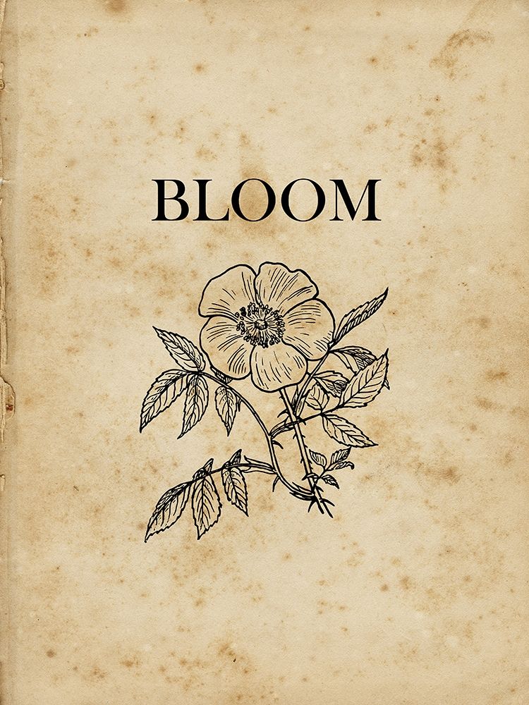 Bloom art print by Sheldon Lewis for $57.95 CAD