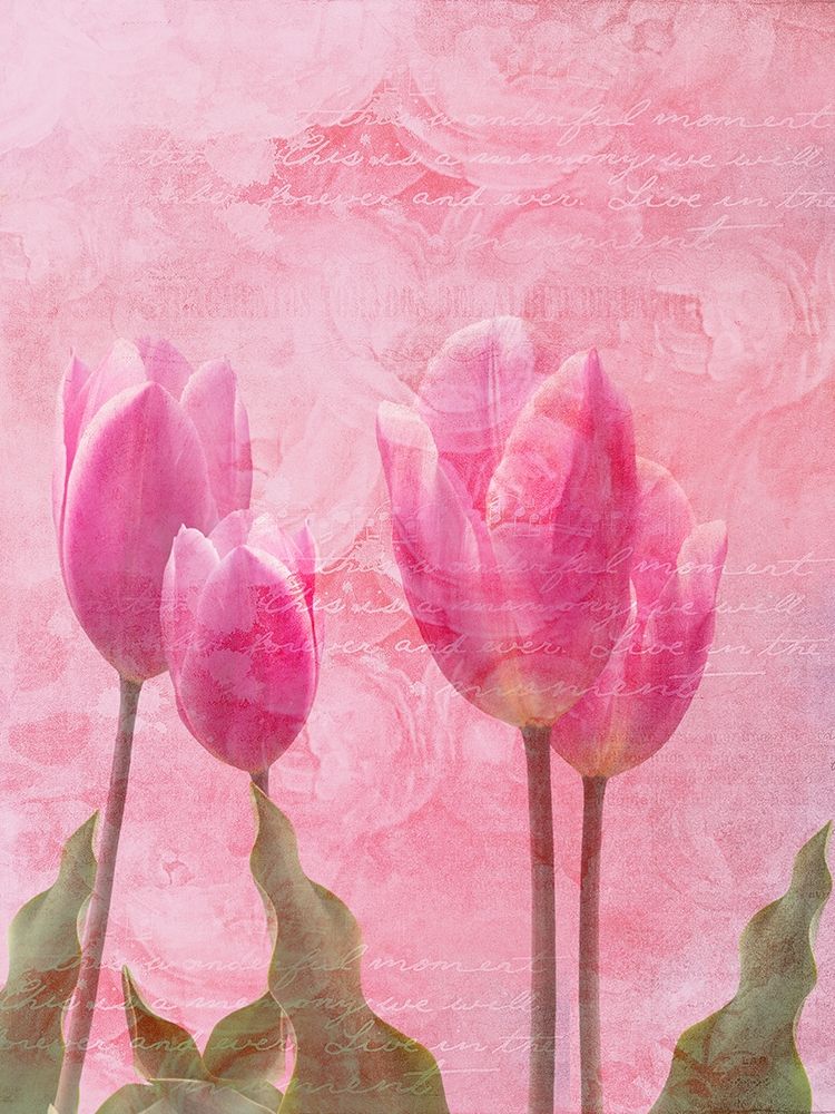 Tulip Love 2 art print by Sheldon Lewis for $57.95 CAD