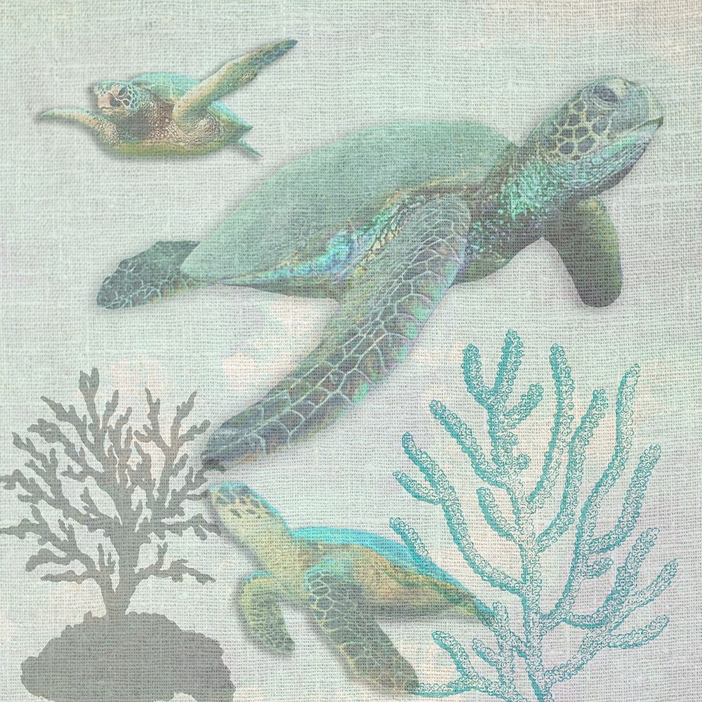 Turtles art print by Sheldon Lewis for $57.95 CAD