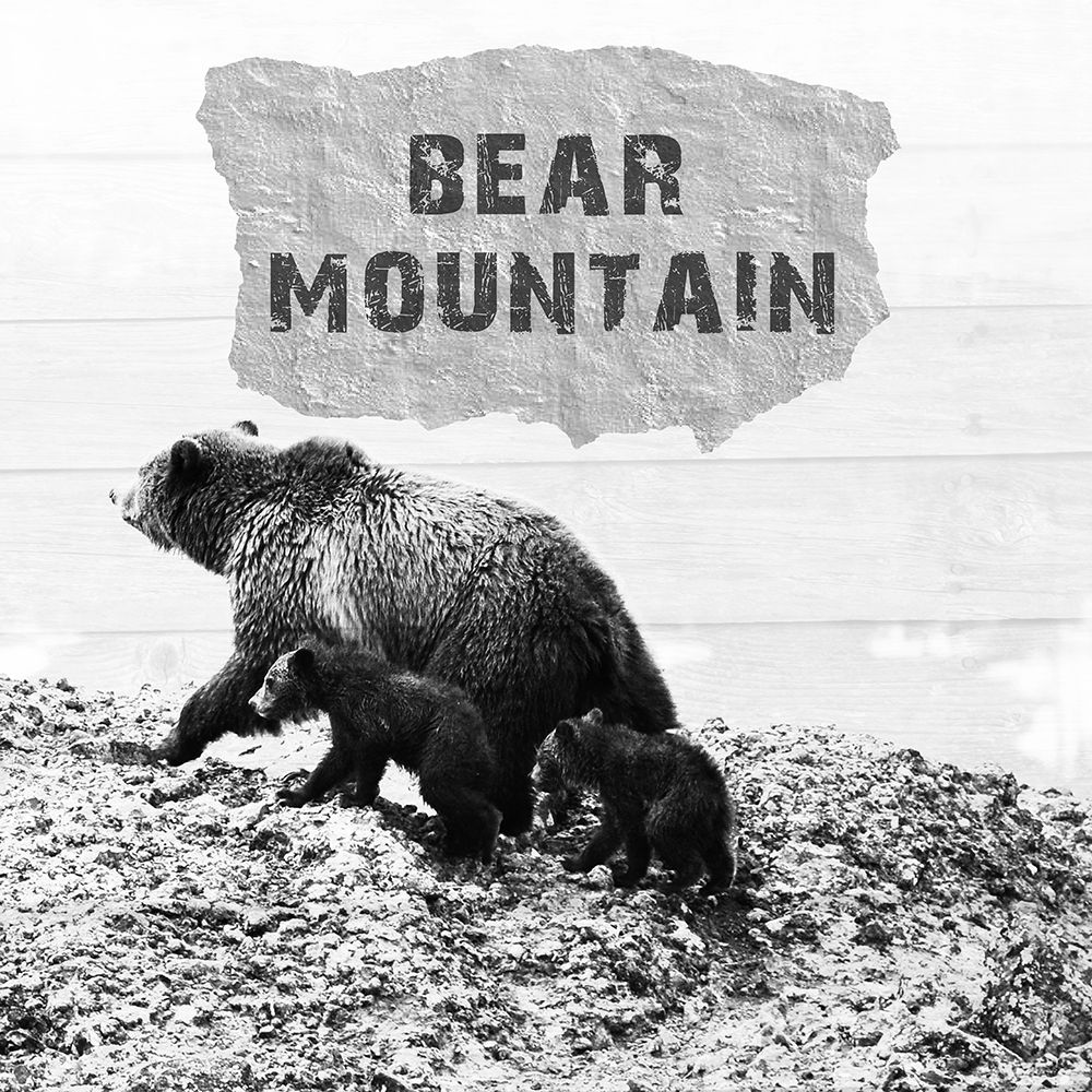 Bear Mountain art print by Sheldon Lewis for $57.95 CAD