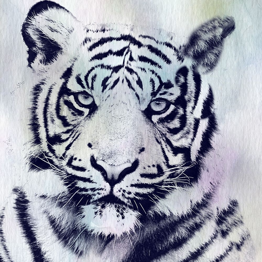 Tiger Roar art print by Sheldon Lewis for $57.95 CAD