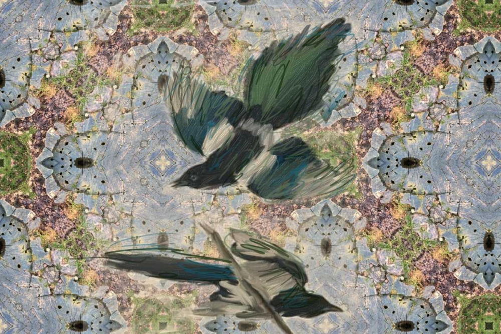 Birds In Flight art print by Sarah Butcher for $57.95 CAD